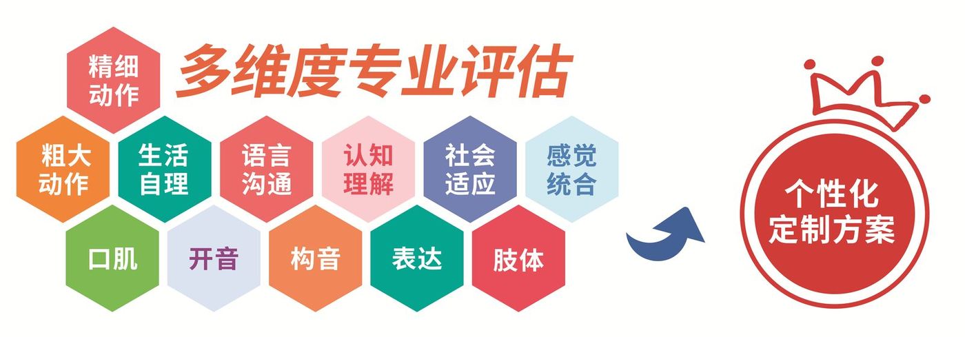 多维度专业评估